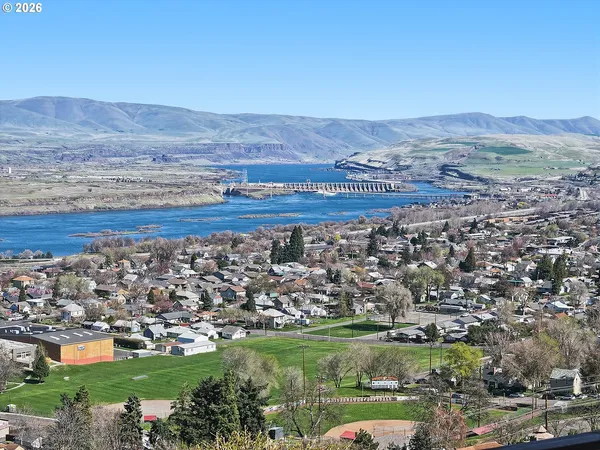 a view of a city with a mountain