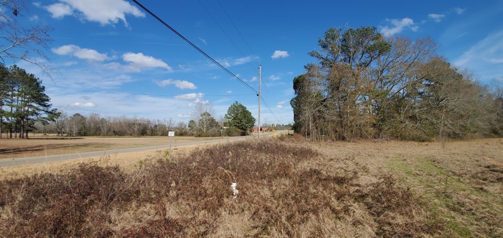 0 Cobb Road Dothan, AL 36301 - Photo 4 of 4