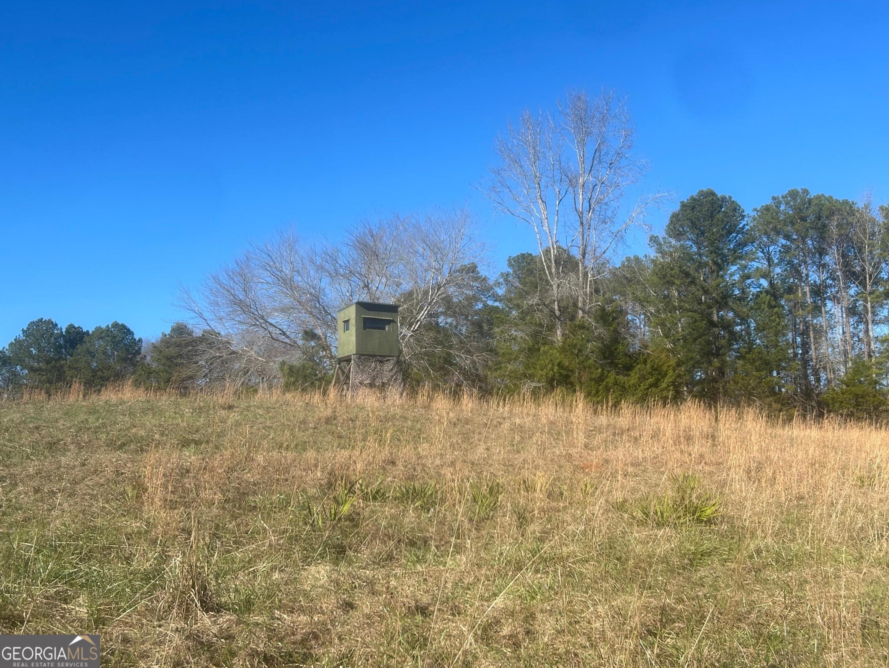 0 Vineyard Road Thomaston, GA 30286 - Photo 34 of 40