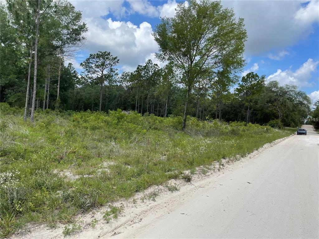 Tbd Southeast 23rd Place Morriston, FL 32668 - Photo 1 of 1 a view of outdoor space with trees all around