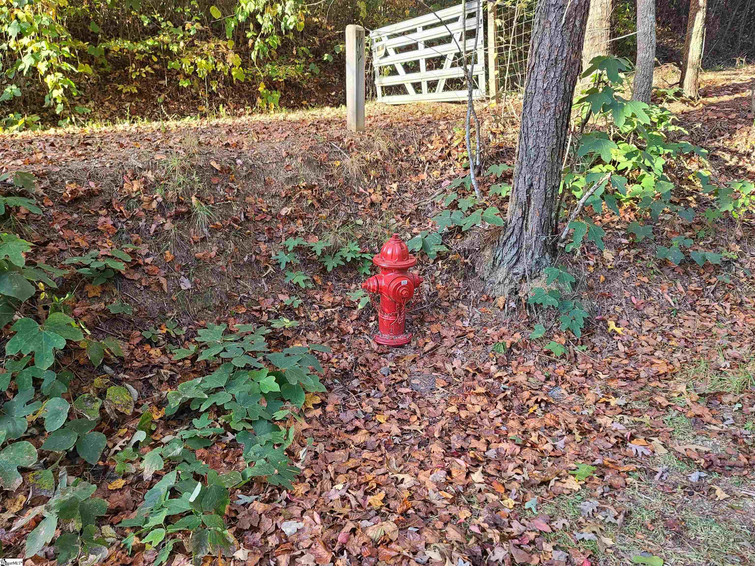 620 Freeman Bridge Road Marietta, SC 29661 - Photo 3 of 6
