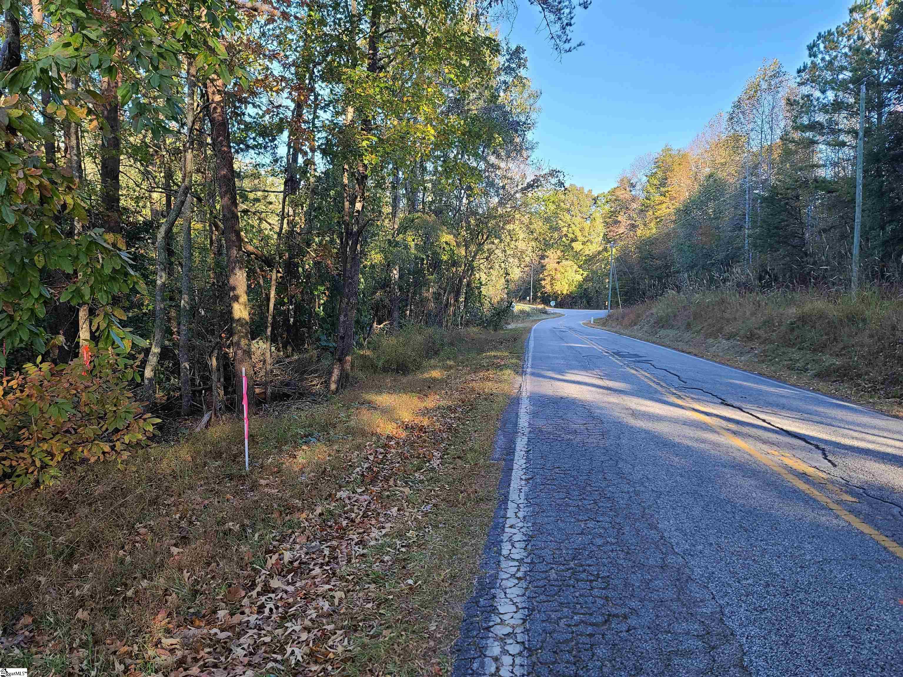 620 Freeman Bridge Road Marietta, SC 29661 - Photo 5 of 6