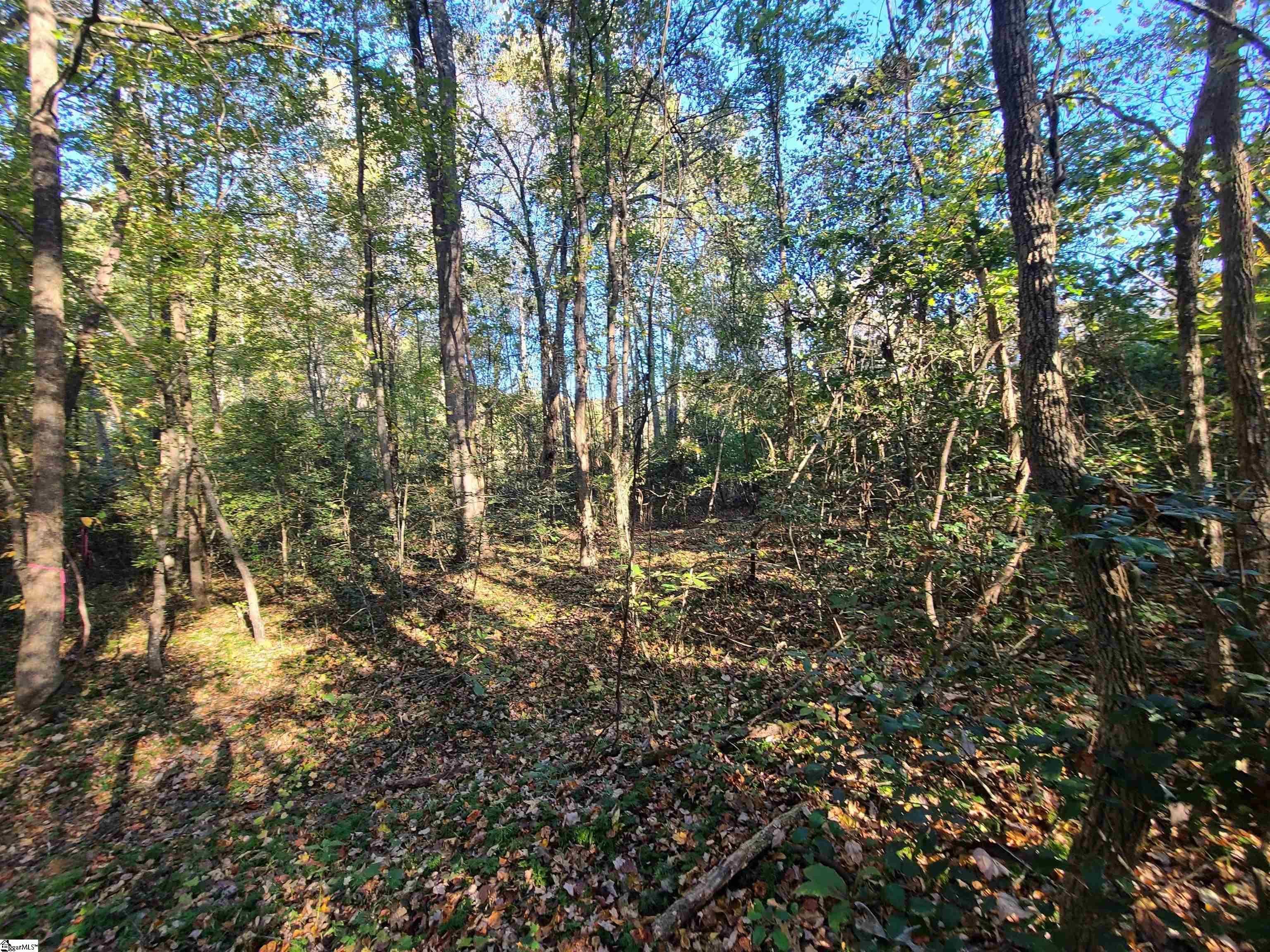 620 Freeman Bridge Road Marietta, SC 29661 - Photo 6 of 6