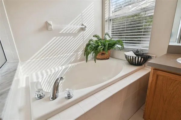 $3,250 | 7655 Citrus Blossom Drive, Land O Lakes, FL 34637