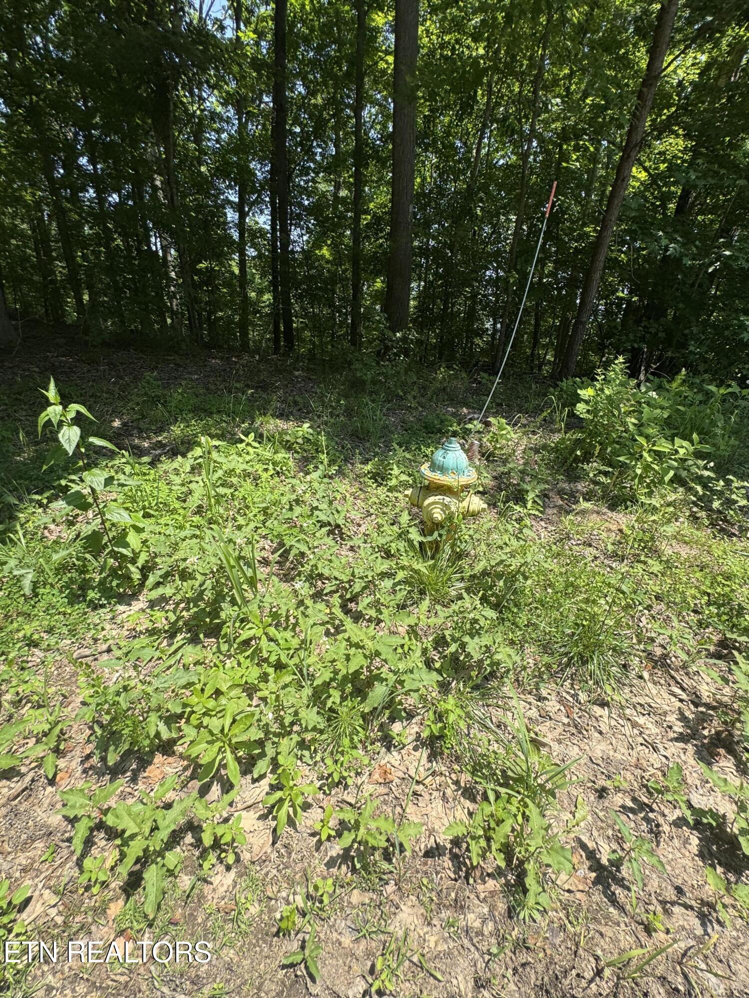 Lot 44 Ridgeland Drive Sharps Chapel, TN 37866 - Photo 11 of 26 IMG_1354