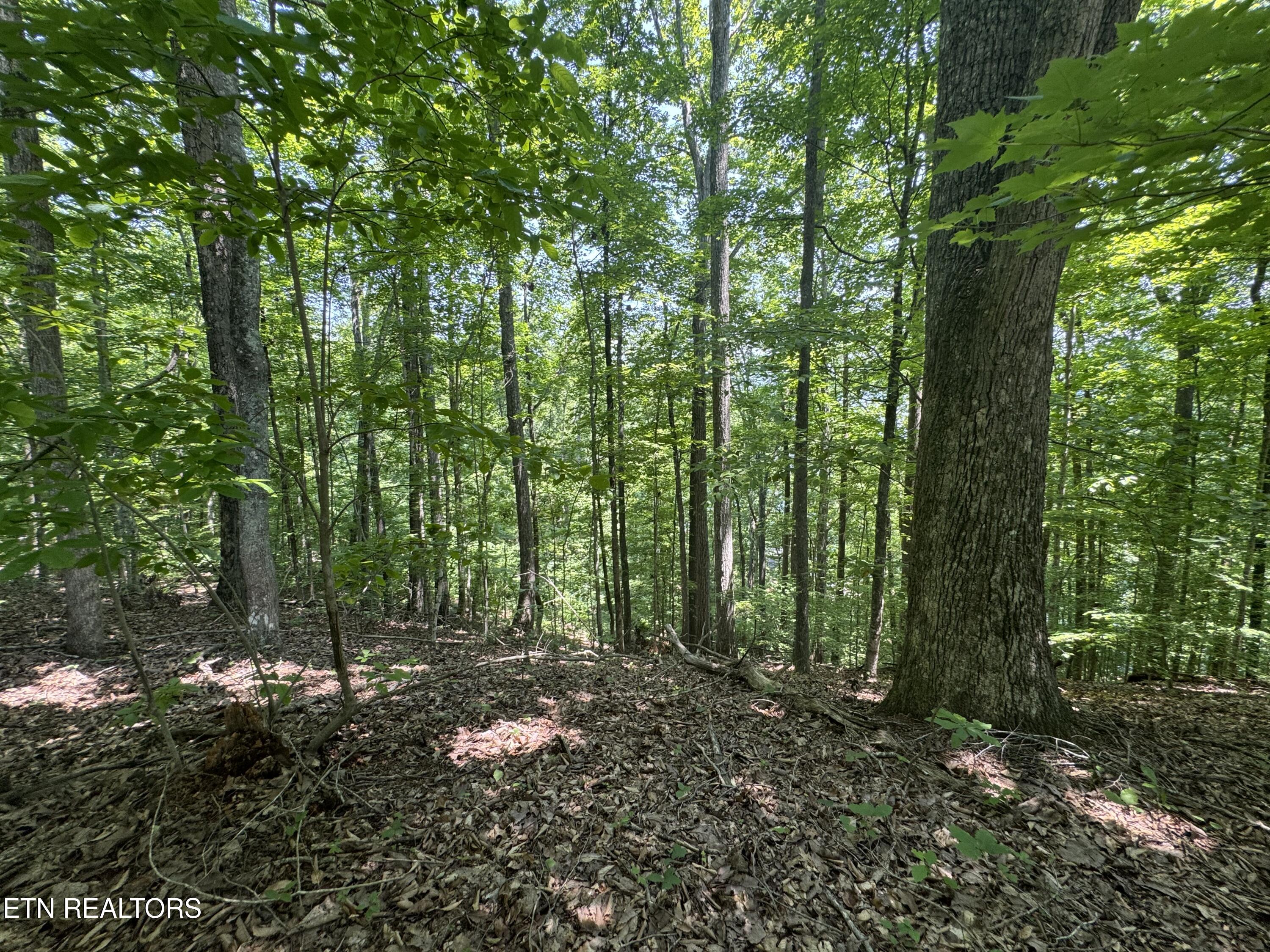 Lot 44 Ridgeland Drive Sharps Chapel, TN 37866 - Photo 12 of 26 IMG_1353