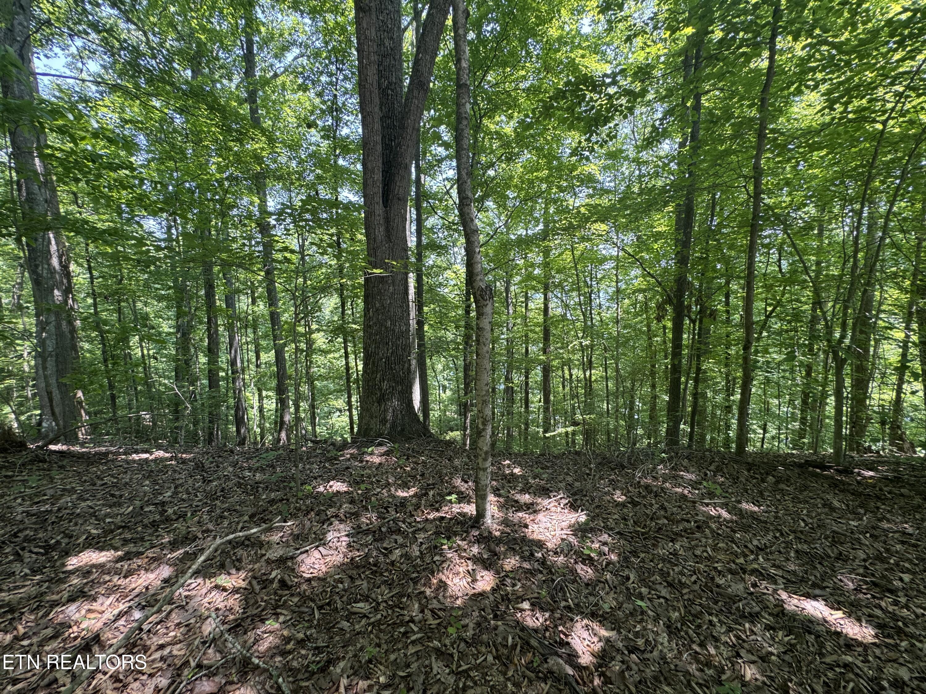 Lot 44 Ridgeland Drive Sharps Chapel, TN 37866 - Photo 15 of 26 IMG_1350