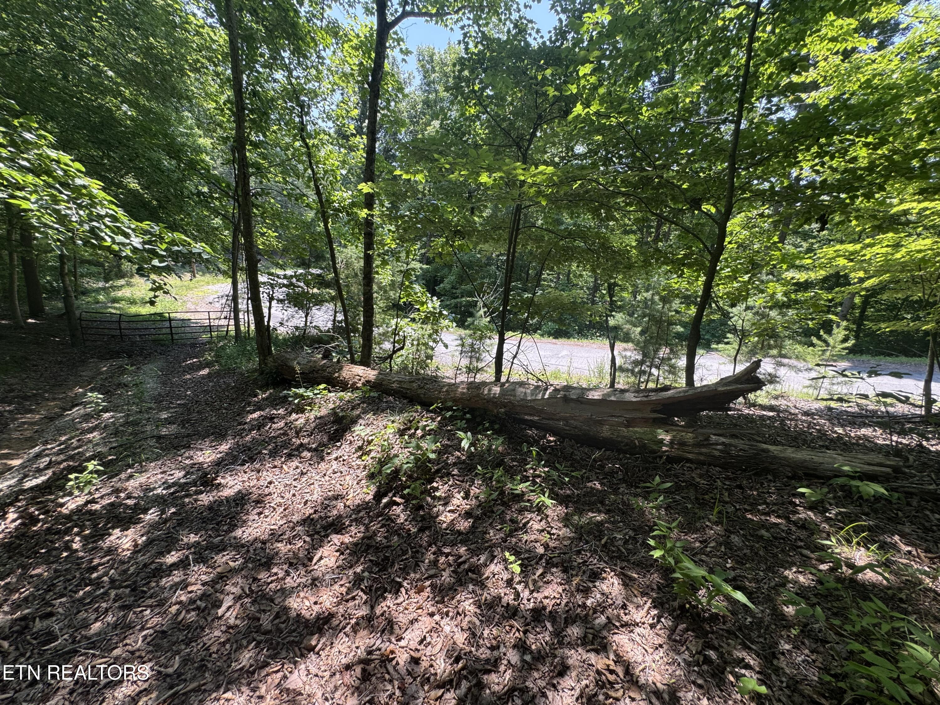 Lot 44 Ridgeland Drive Sharps Chapel, TN 37866 - Photo 17 of 26 IMG_1348