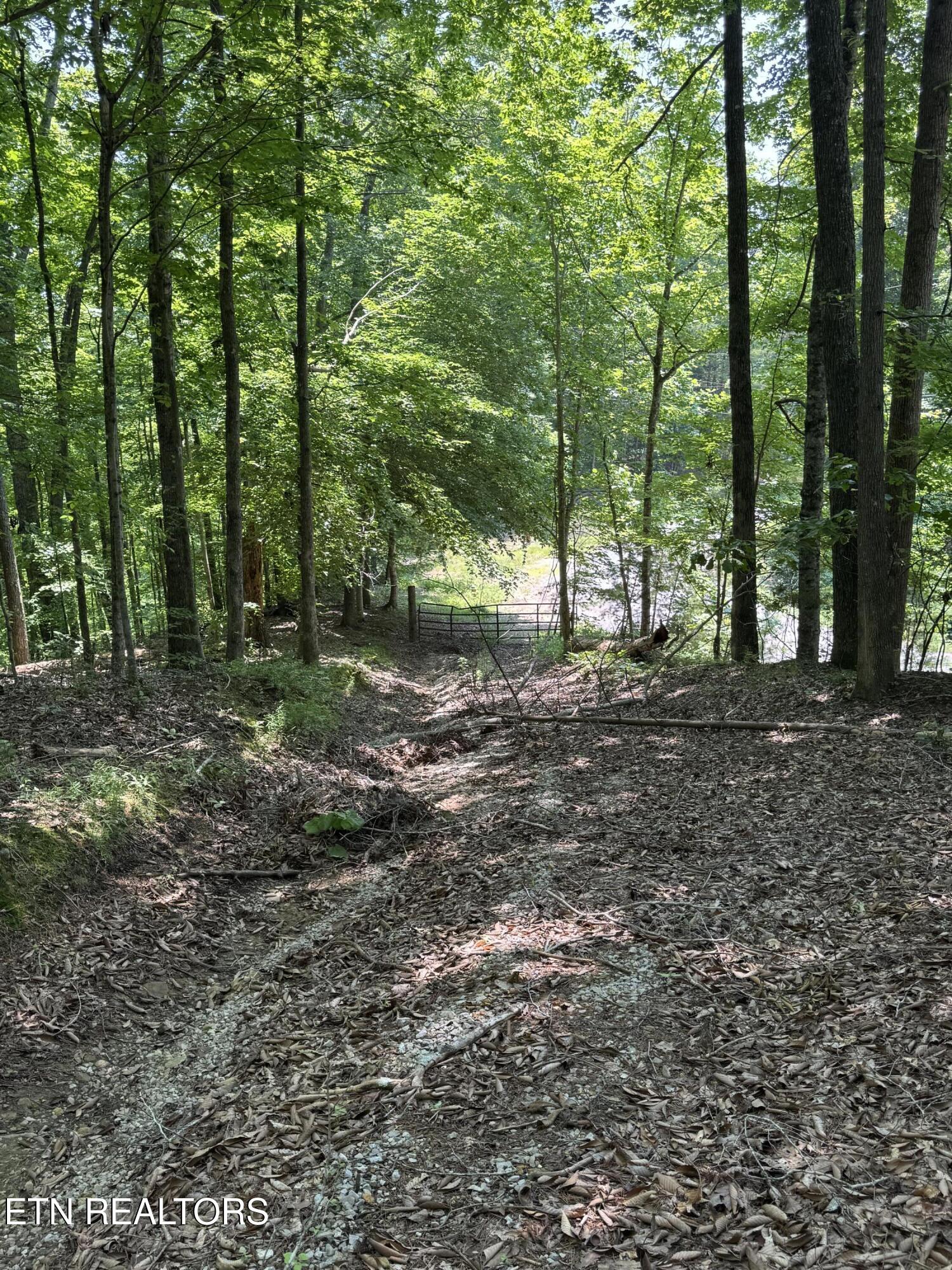 Lot 44 Ridgeland Drive Sharps Chapel, TN 37866 - Photo 20 of 26 IMG_1345