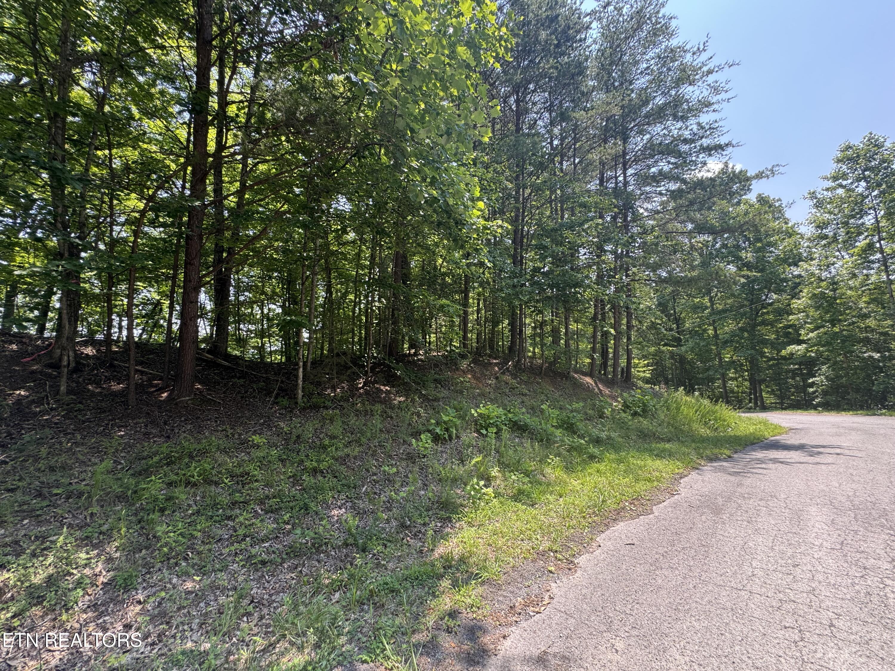 Lot 44 Ridgeland Drive Sharps Chapel, TN 37866 - Photo 2 of 26 IMG_1338