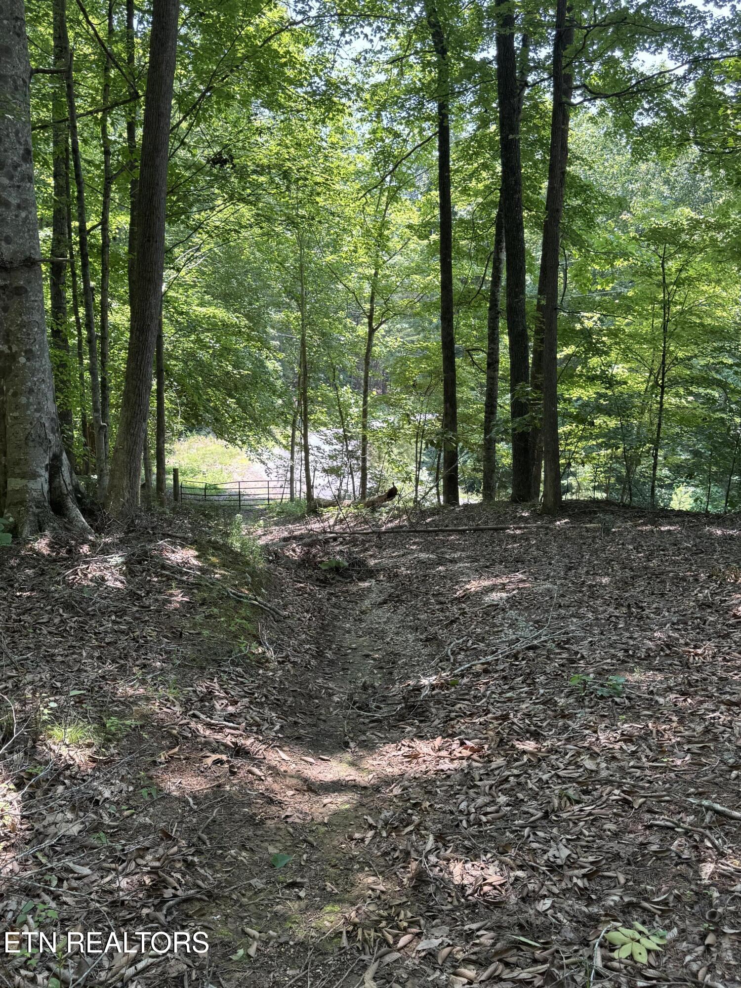 Lot 44 Ridgeland Drive Sharps Chapel, TN 37866 - Photo 21 of 26 IMG_1344