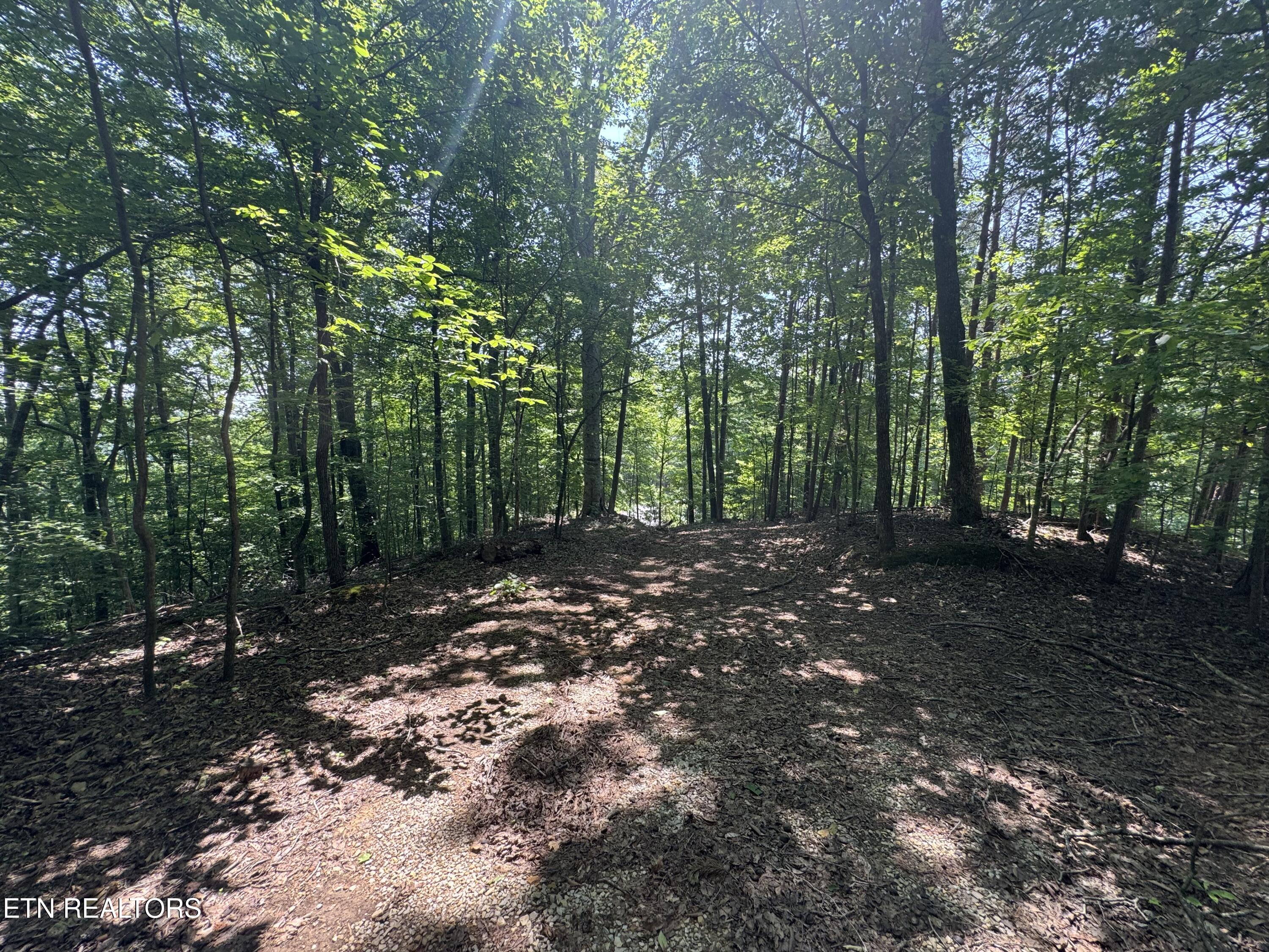 Lot 44 Ridgeland Drive Sharps Chapel, TN 37866 - Photo 22 of 26 IMG_1341