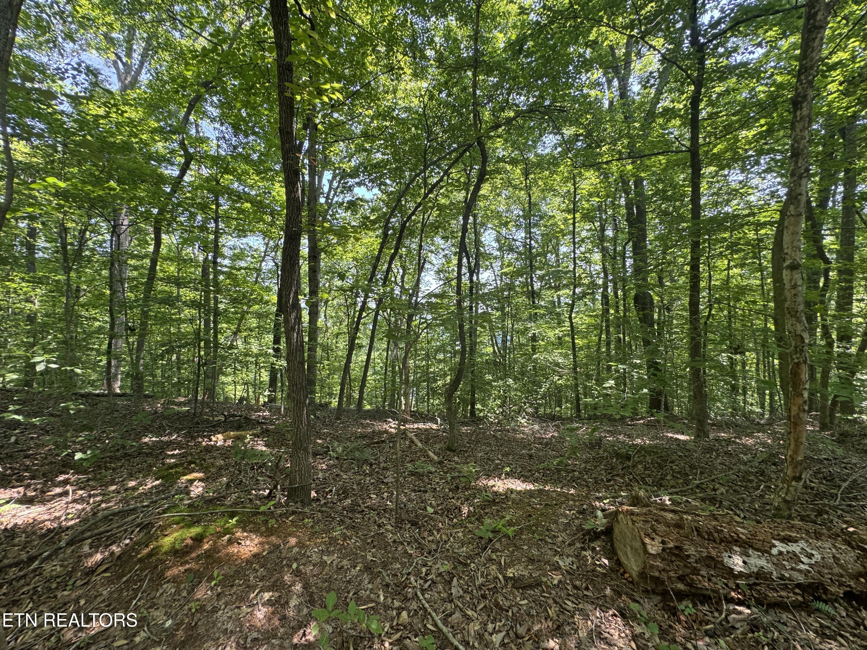 Lot 44 Ridgeland Drive Sharps Chapel, TN 37866 - Photo 23 of 26 IMG_1342