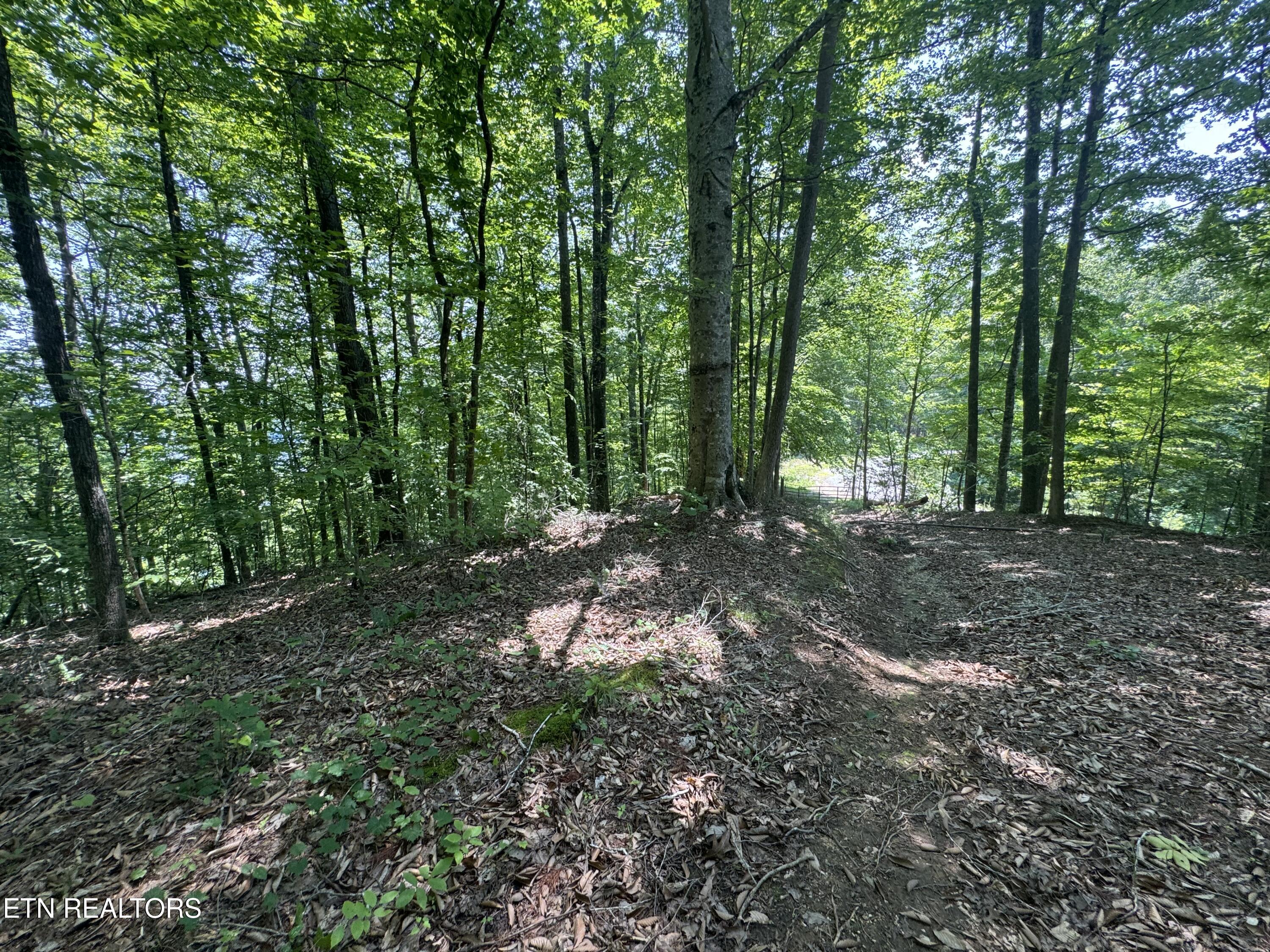 Lot 44 Ridgeland Drive Sharps Chapel, TN 37866 - Photo 24 of 26 IMG_1343