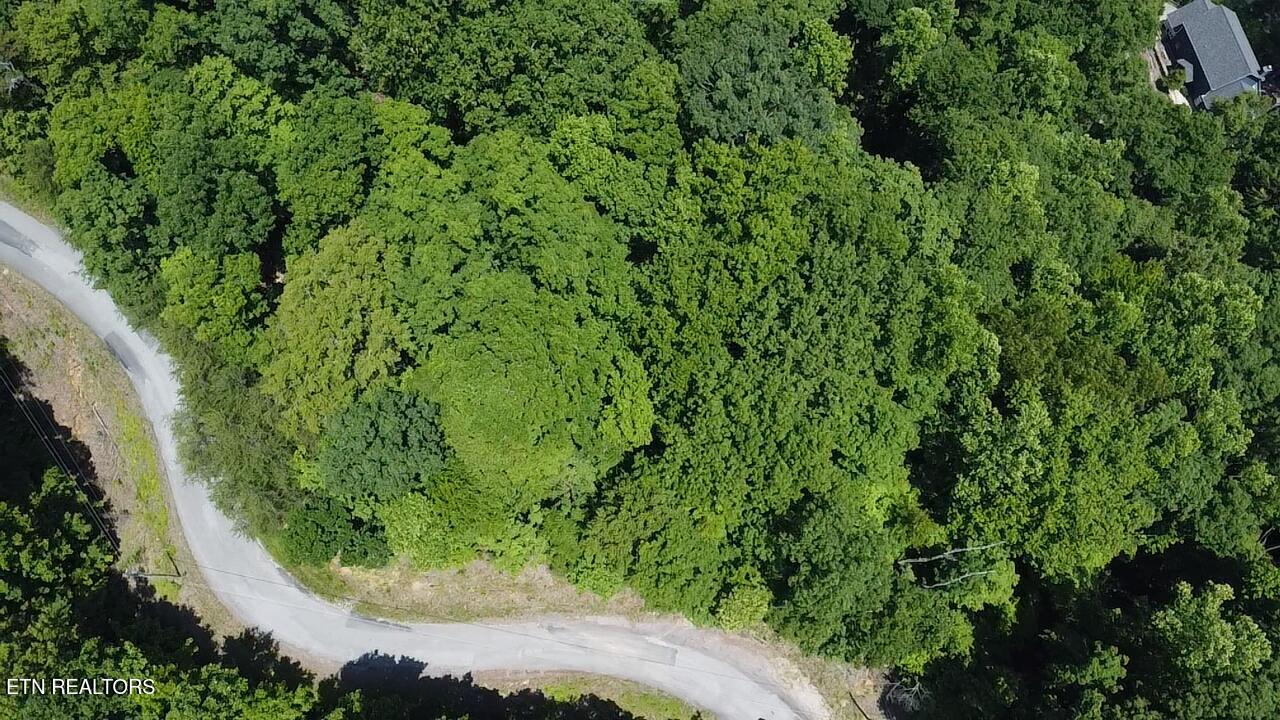 Lot 44 Ridgeland Drive Sharps Chapel, TN 37866 - Photo 5 of 26 2025-06-03-12-53-48-832