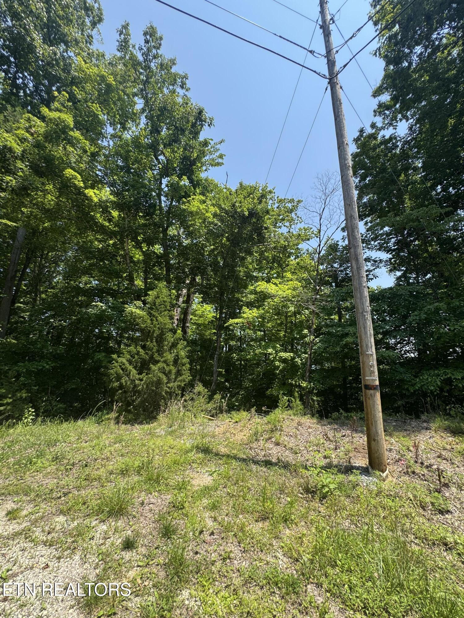 Lot 44 Ridgeland Drive Sharps Chapel, TN 37866 - Photo 8 of 26 IMG_1357