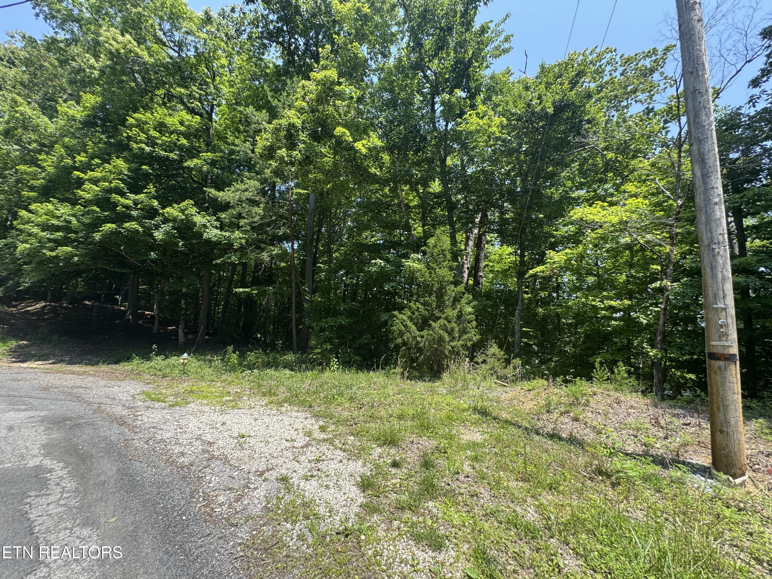 Lot 44 Ridgeland Drive Sharps Chapel, TN 37866 - Photo 9 of 26 IMG_1356