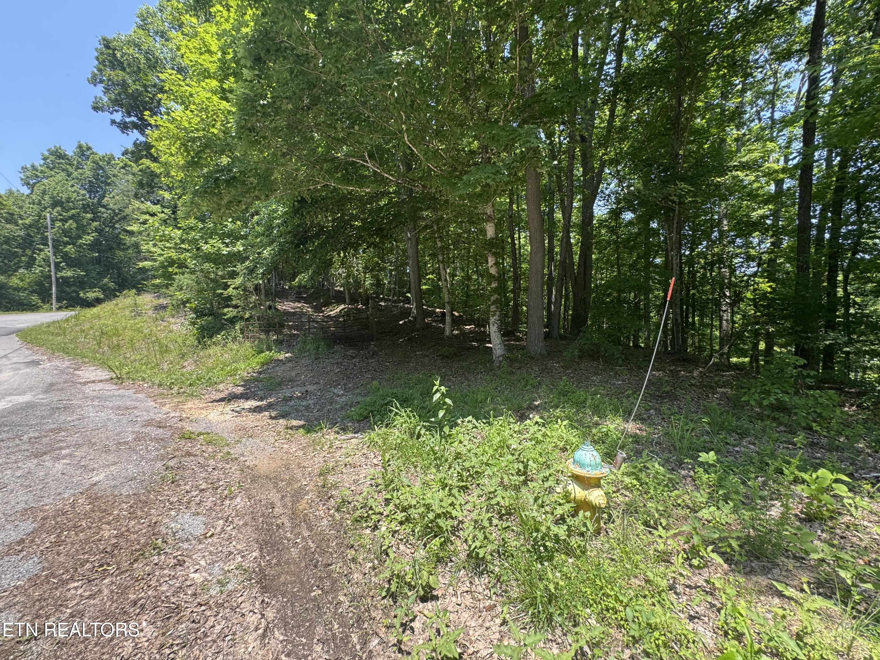 Lot 44 Ridgeland Drive Sharps Chapel, TN 37866 - Photo 10 of 26 IMG_1355