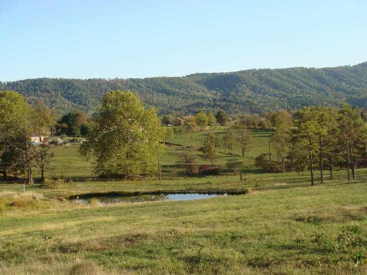3388 Webster Road Blue Ridge, VA 24064 - Photo 29 of 40 a view of lake with mountain