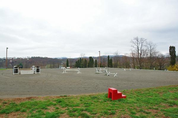 3388 Webster Road Blue Ridge, VA 24064 - Photo 30 of 40 a backyard view with tall trees