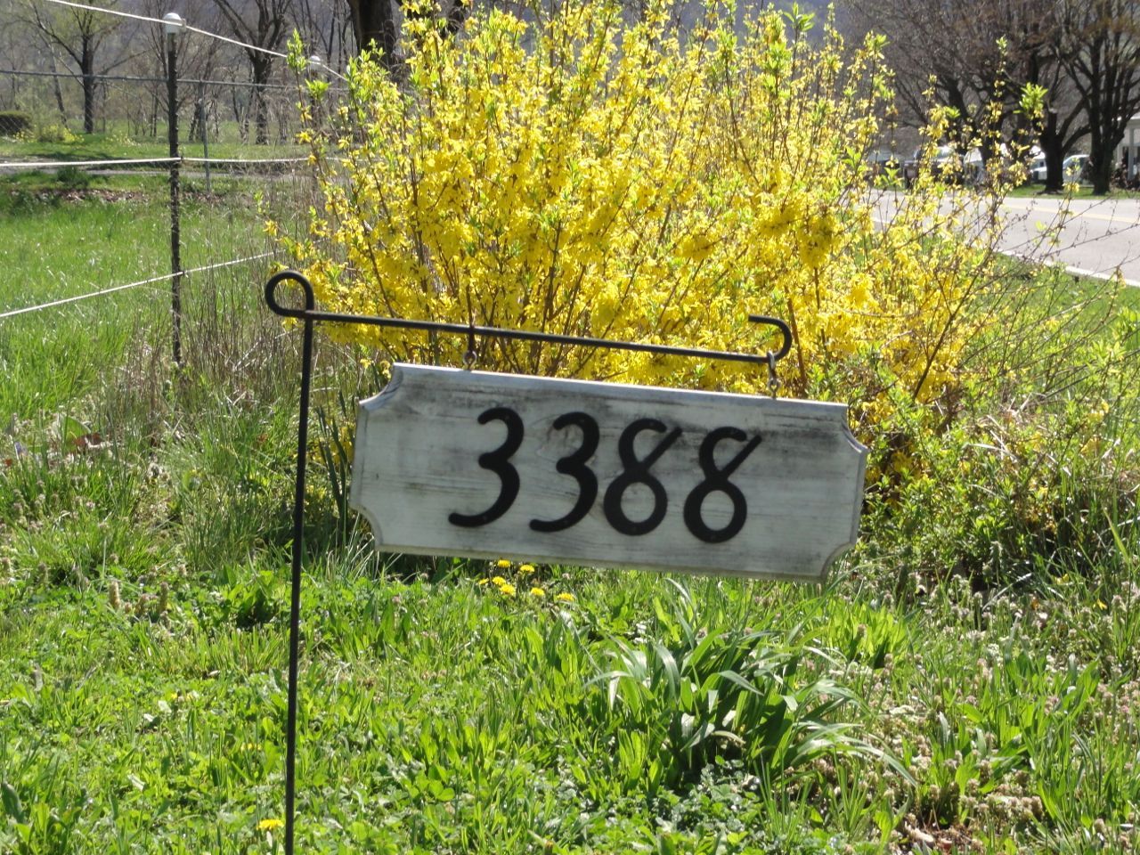 3388 Webster Road Blue Ridge, VA 24064 - Photo 31 of 40 a sign of a park next to a building