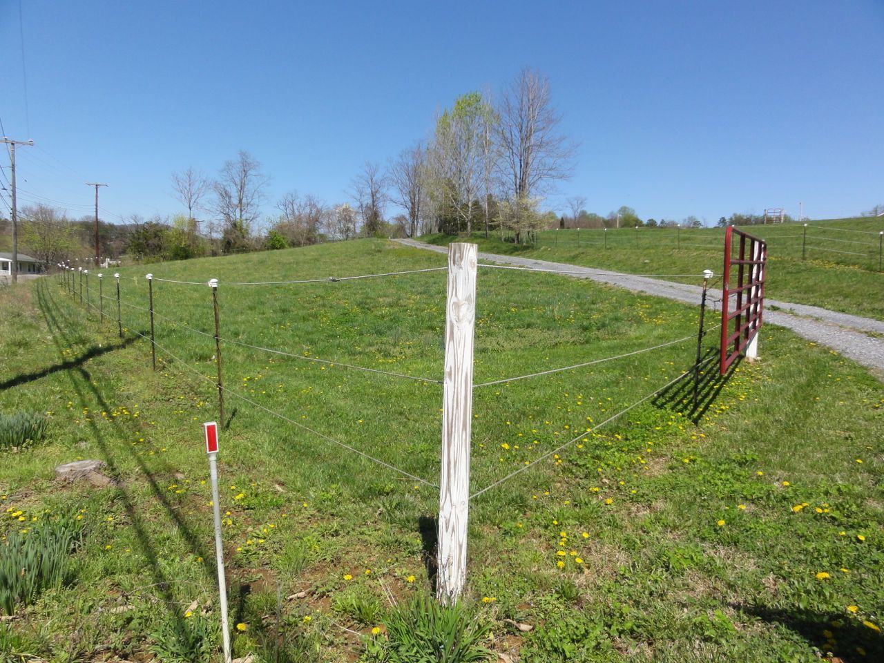 3388 Webster Road Blue Ridge, VA 24064 - Photo 32 of 40 a view of a green field with sky view