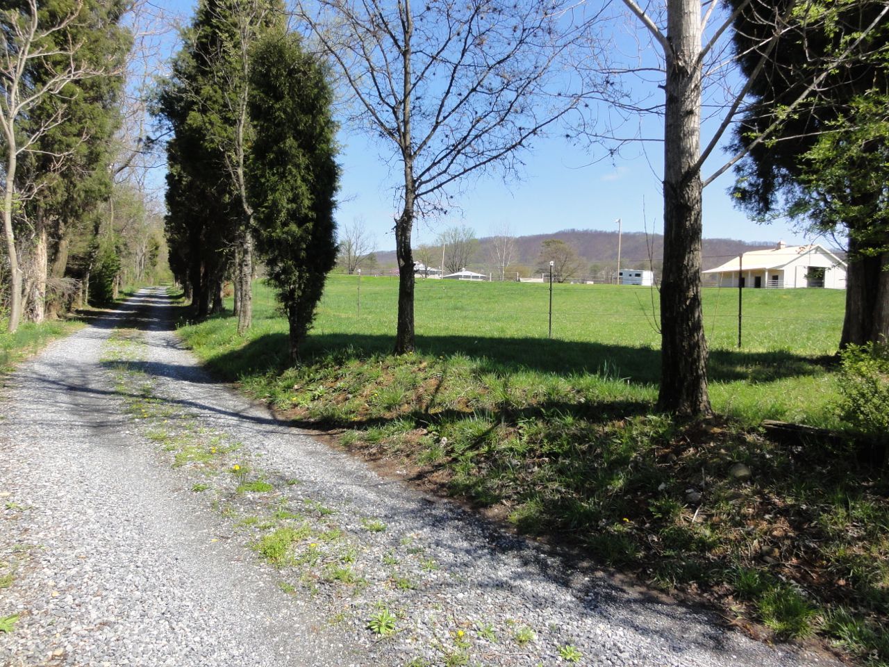 3388 Webster Road Blue Ridge, VA 24064 - Photo 34 of 40 a view of a garden with large trees