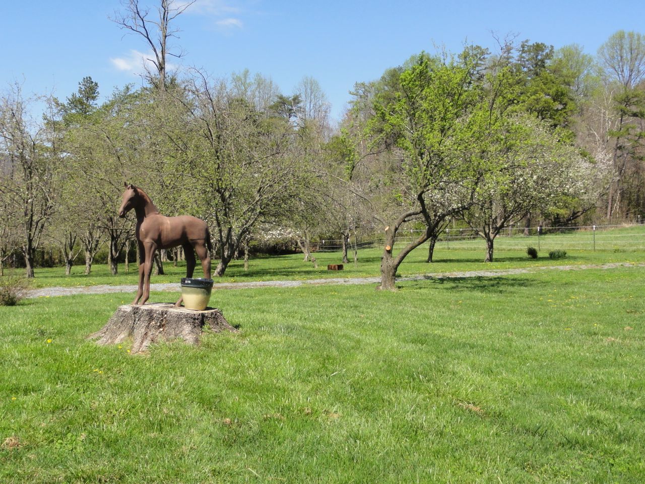 3388 Webster Road Blue Ridge, VA 24064 - Photo 38 of 40