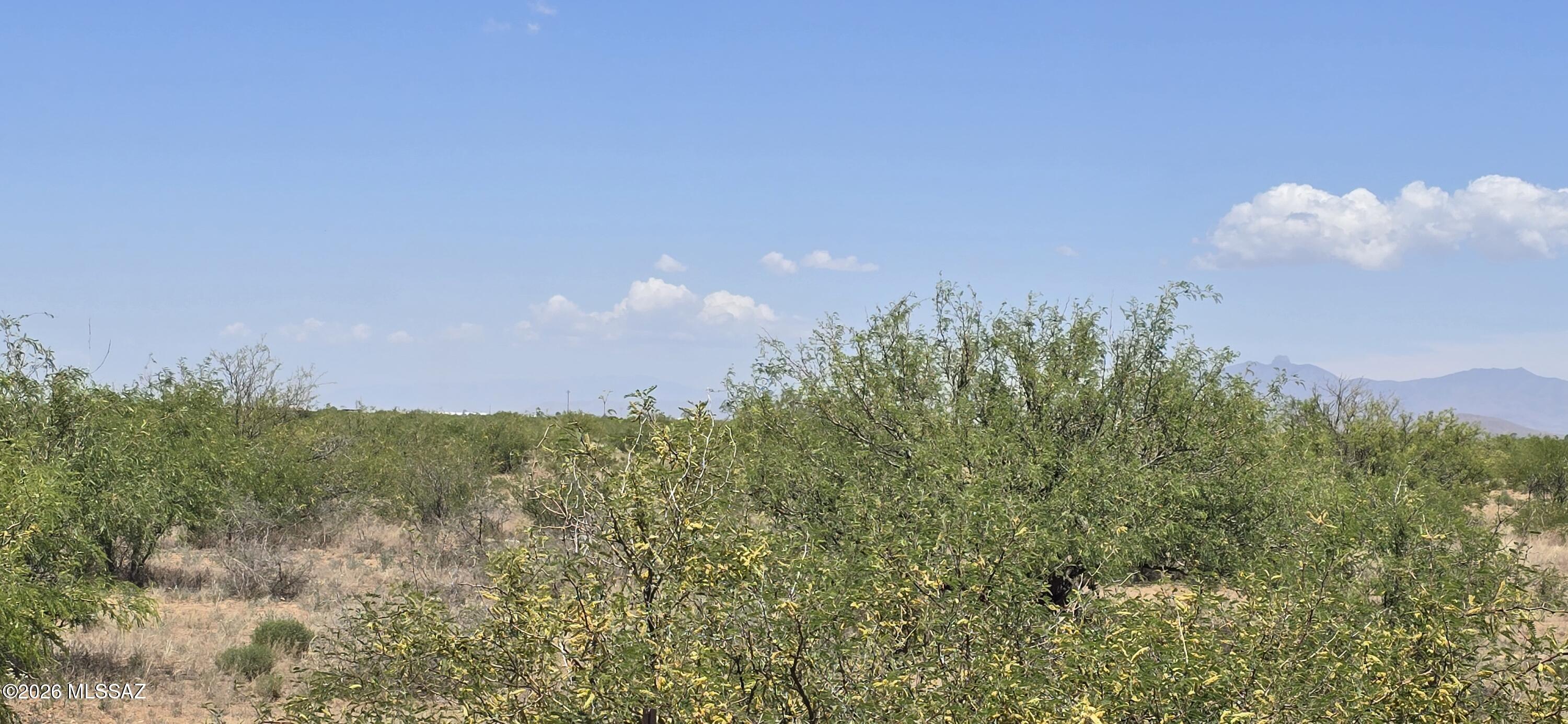 Tbd 8-ac East Aschenbach Road, Unit 319B Pearce, AZ 85625 - Photo 5 of 10 a view of a bunch of trees