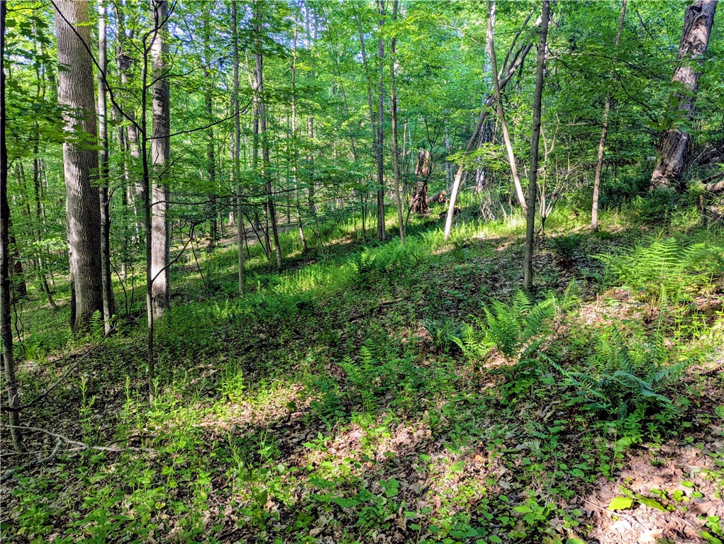 0 Two 2 Mile Road Port Allegany, PA 16743 - Photo 26 of 29