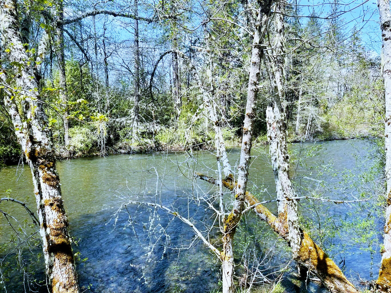 6223 Takilma Road Cave Junction, OR 97523 - Photo 2 of 13 20220501175131821441000000-o