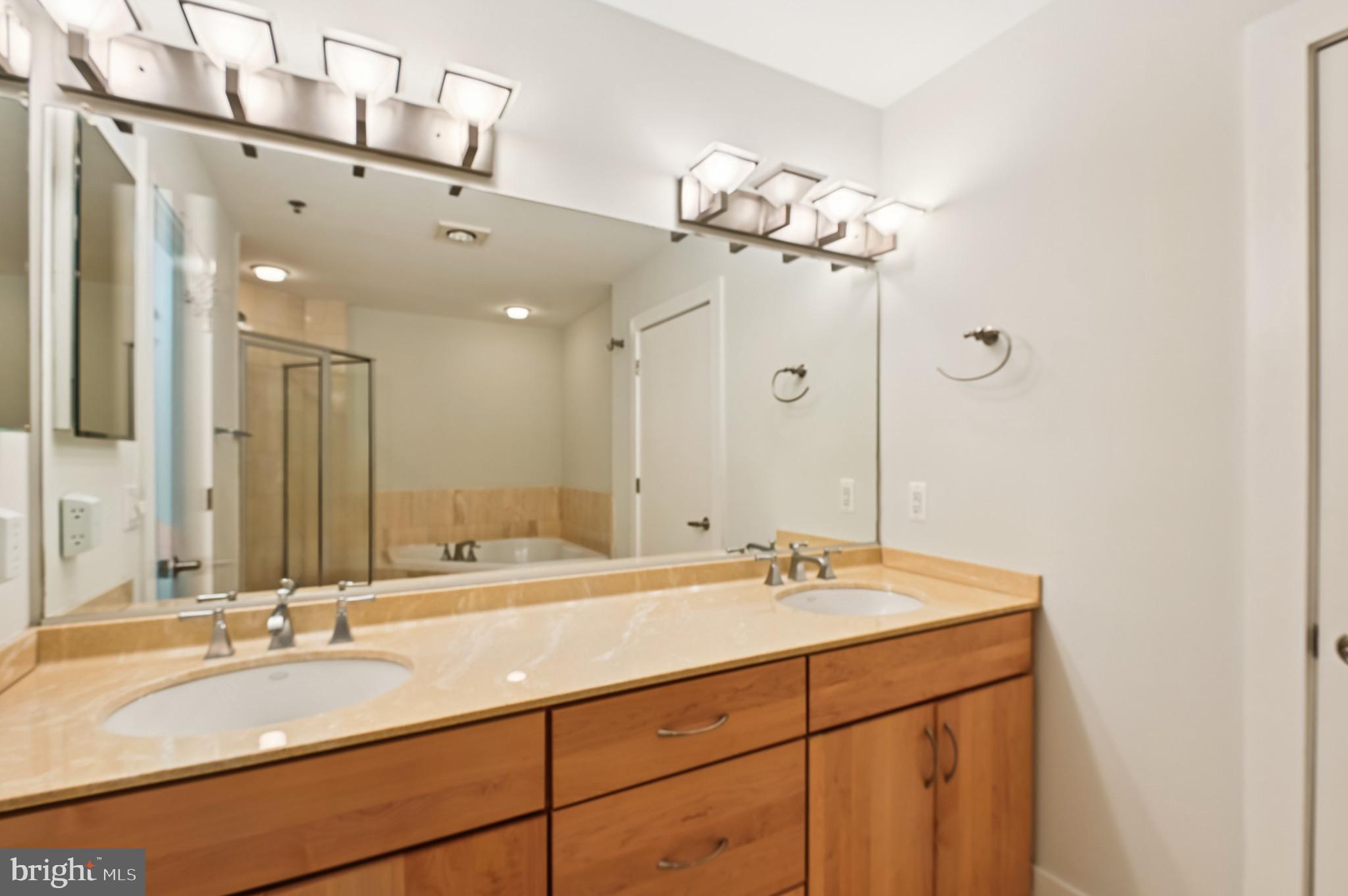 1400 Lancaster Street, Unit 902 Baltimore, MD 21231 - Photo 22 of 47 Primary Bathroom