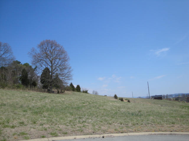 Lot 36 Chavis Lane Rutledge, TN 37861 - Photo 3 of 3 Lot 34