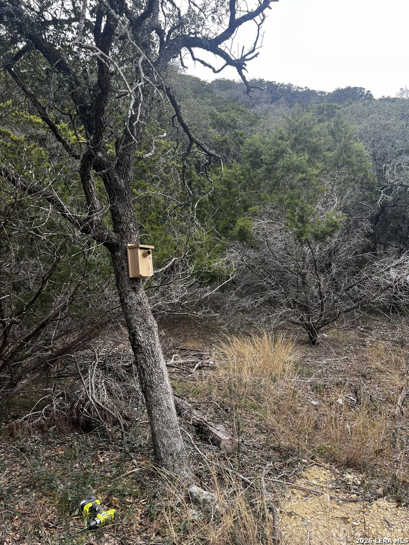 166 Walden Ridge Tarpley, TX 78883 - Photo 11 of 16