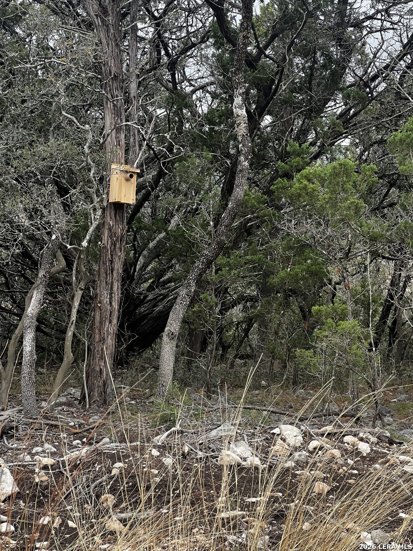 166 Walden Ridge Tarpley, TX 78883 - Photo 12 of 16