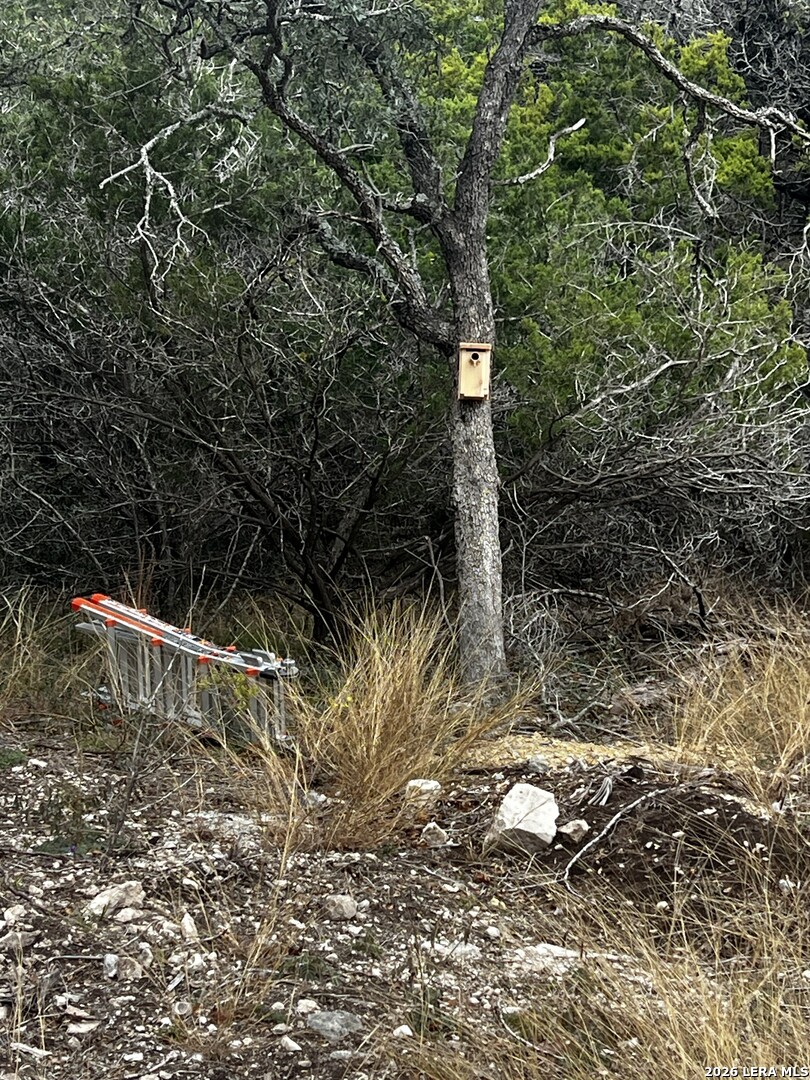 166 Walden Ridge Tarpley, TX 78883 - Photo 13 of 16