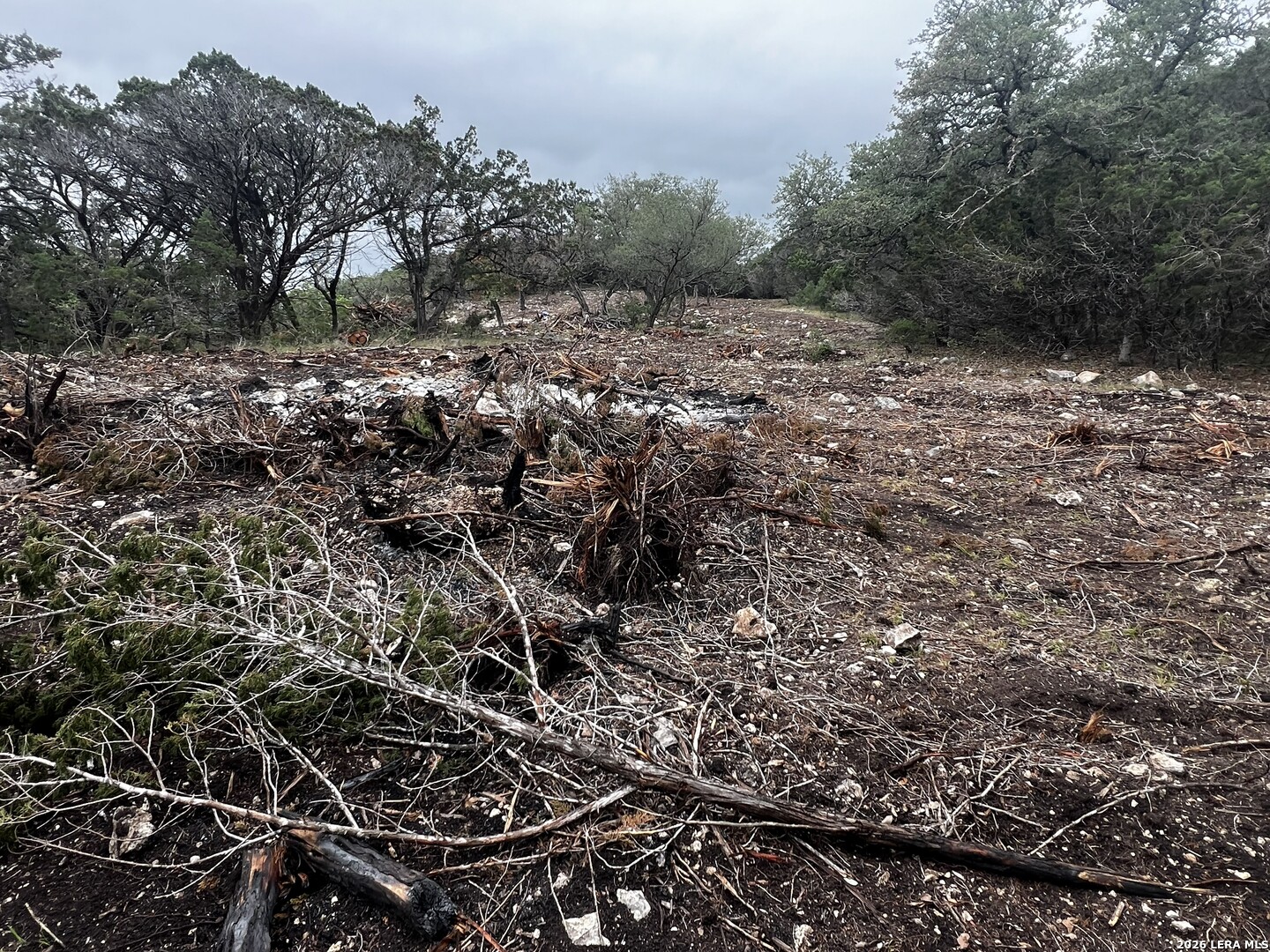 166 Walden Ridge Tarpley, TX 78883 - Photo 4 of 16