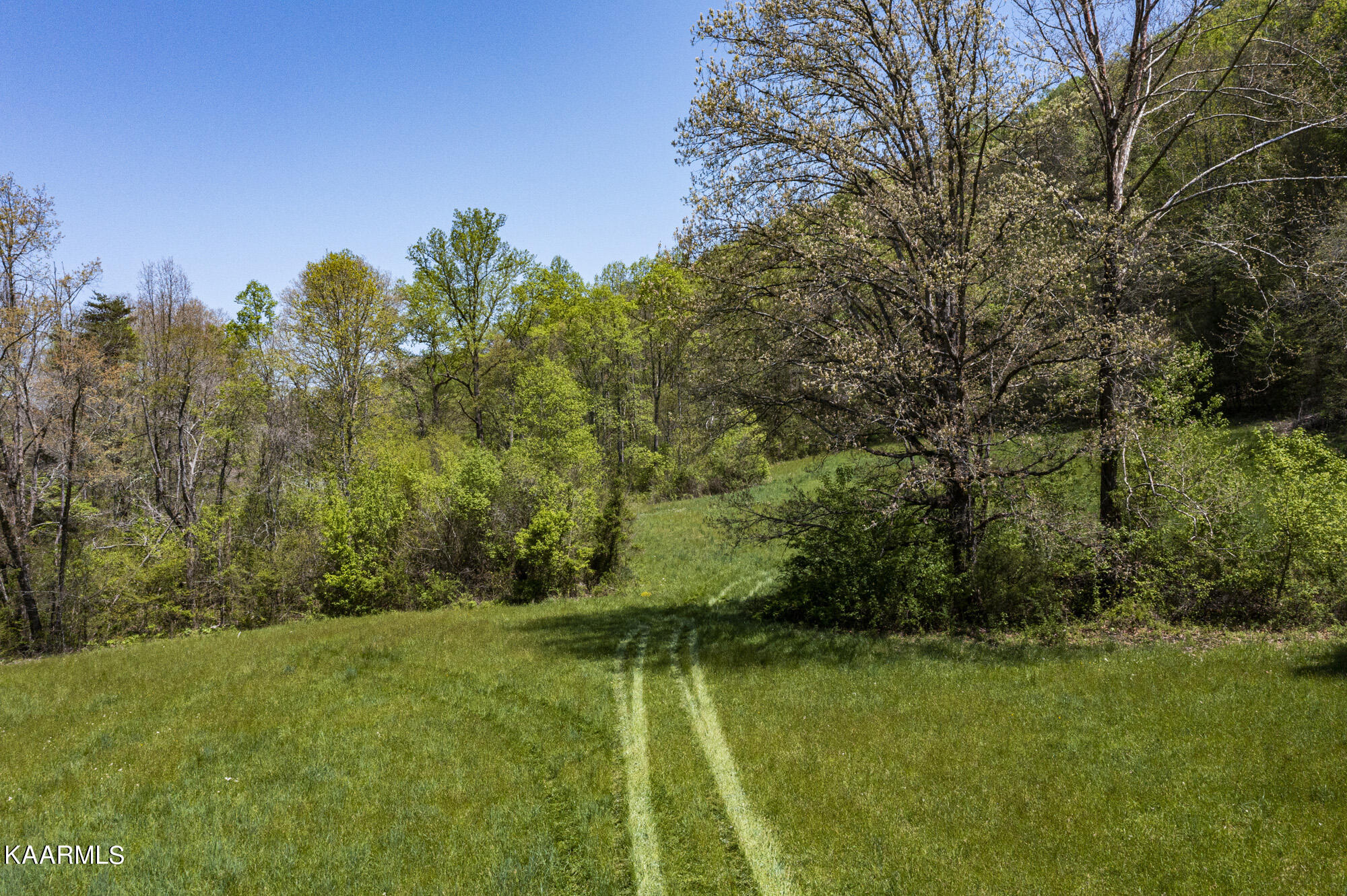 Kettle Hollow Road Maynardville, TN 37807 - Photo 13 of 51 DJI_0944