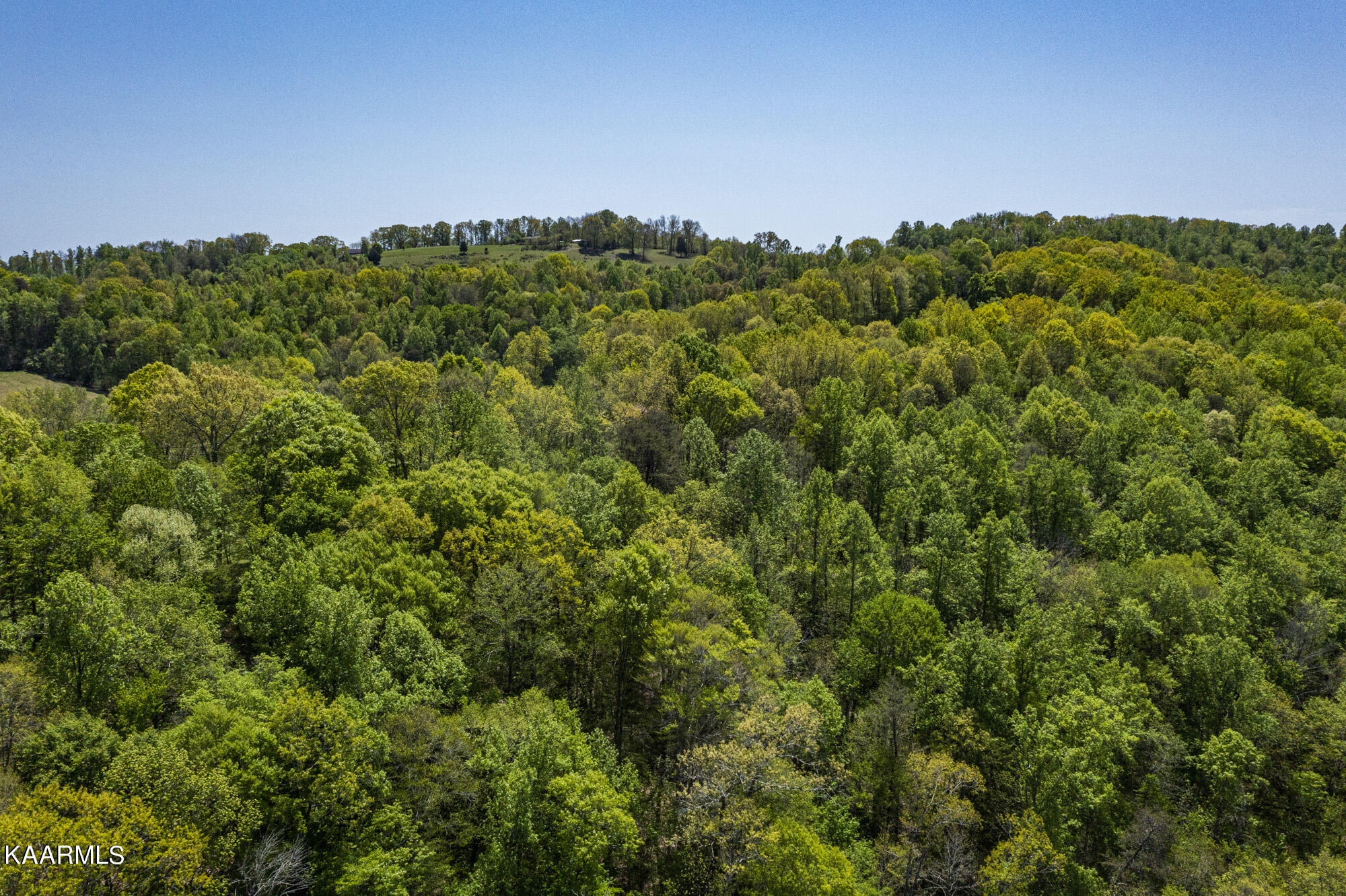 Kettle Hollow Road Maynardville, TN 37807 - Photo 16 of 51 DJI_0948