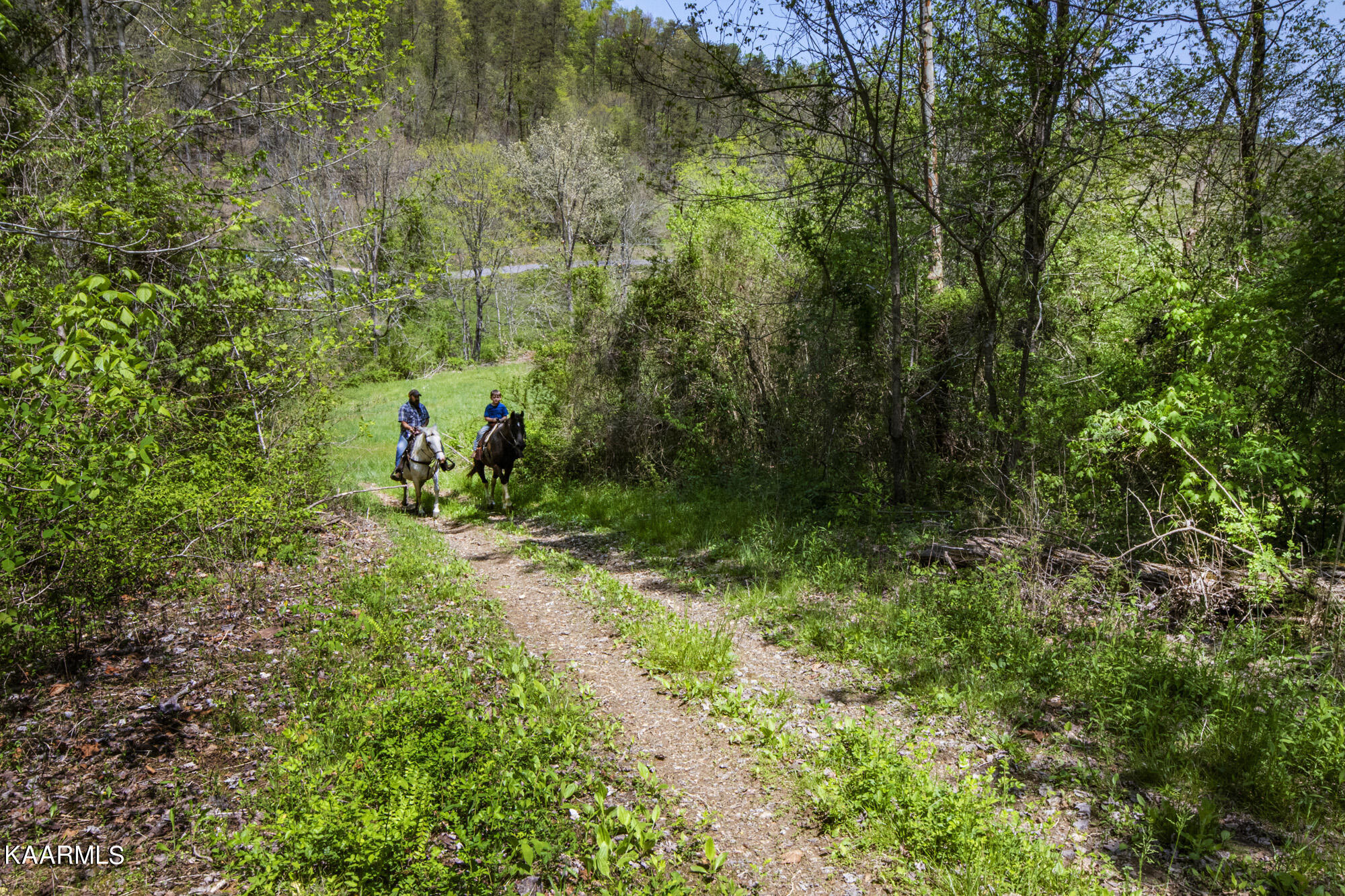 Kettle Hollow Road Maynardville, TN 37807 - Photo 2 of 51 V19A9278