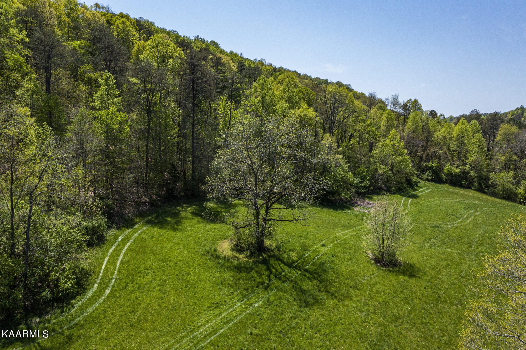 Kettle Hollow Road Maynardville, TN 37807 - Photo 21 of 51 DJI_0960