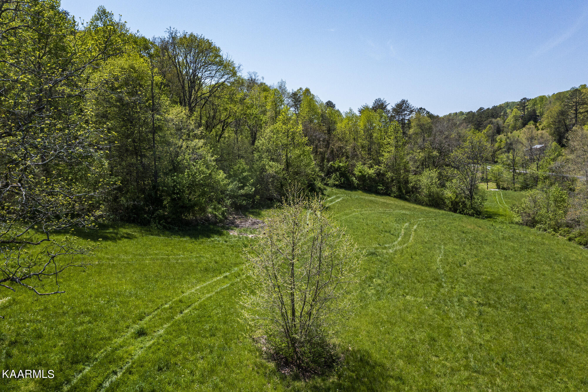 Kettle Hollow Road Maynardville, TN 37807 - Photo 22 of 51 DJI_0963