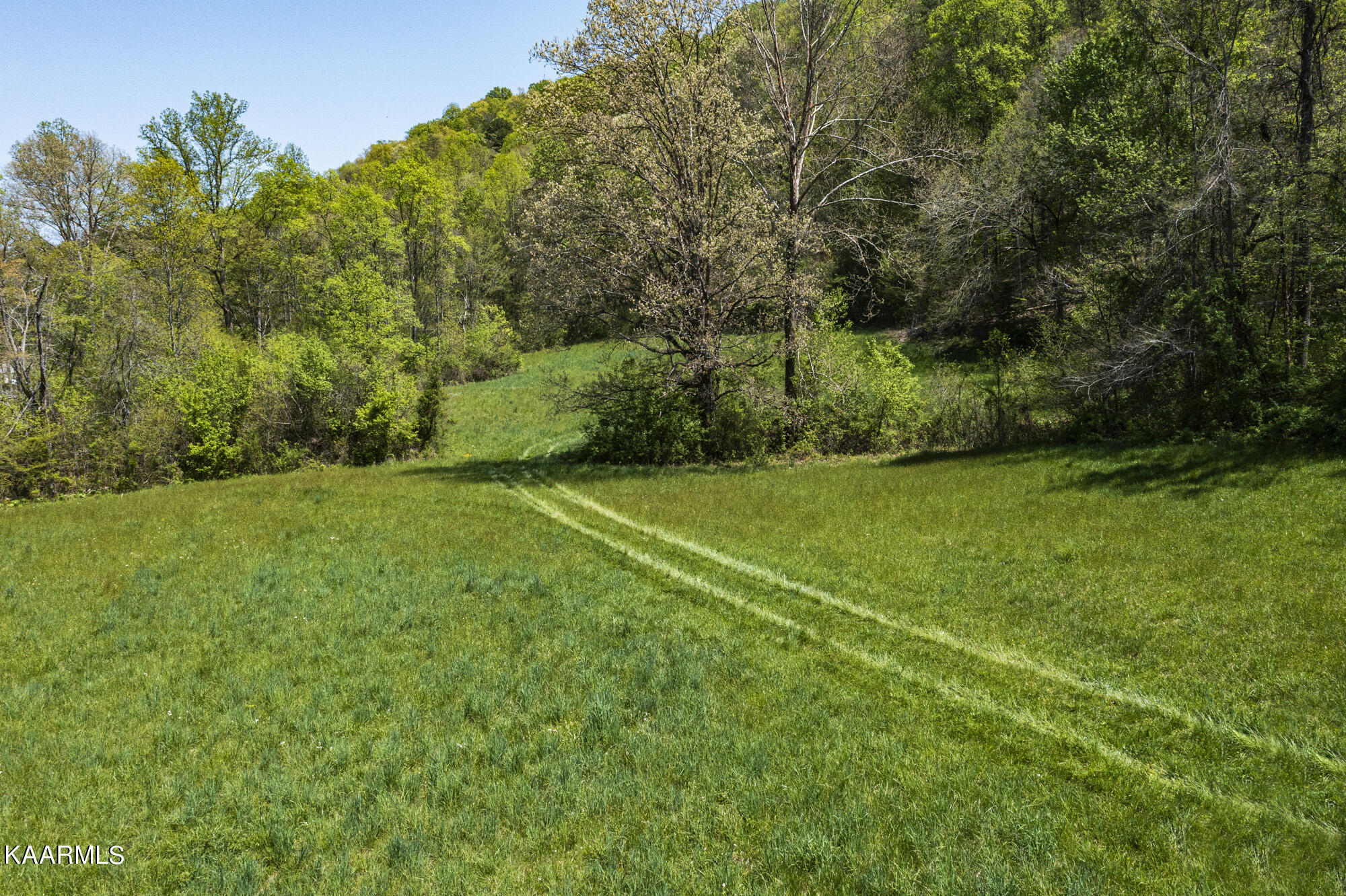 Kettle Hollow Road Maynardville, TN 37807 - Photo 23 of 51 DJI_0965