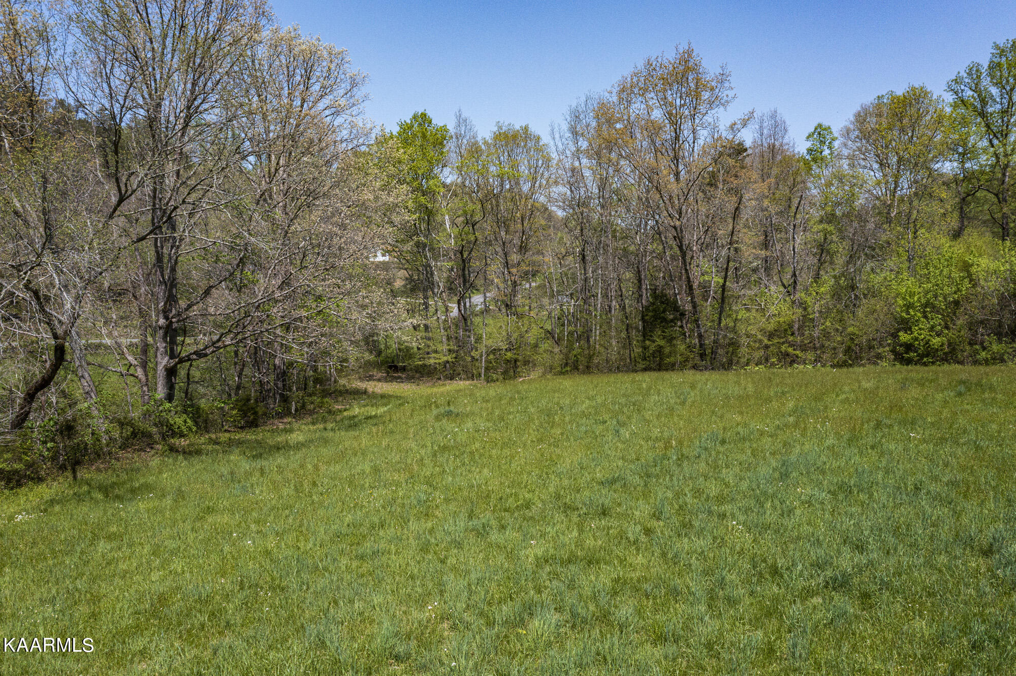 Kettle Hollow Road Maynardville, TN 37807 - Photo 24 of 51 DJI_0966
