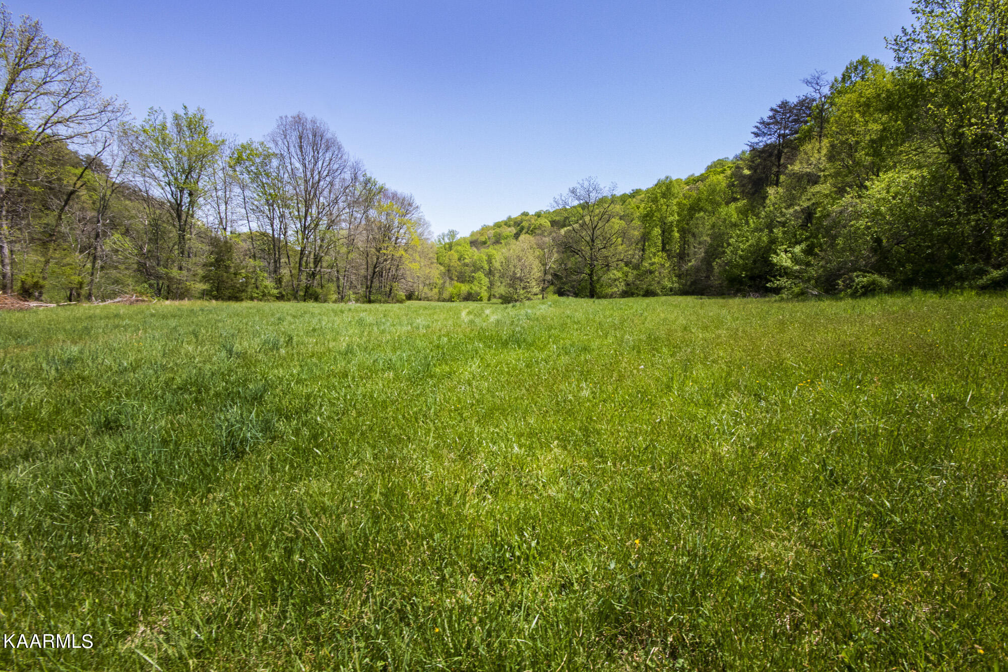 Kettle Hollow Road Maynardville, TN 37807 - Photo 25 of 51 V19A9271