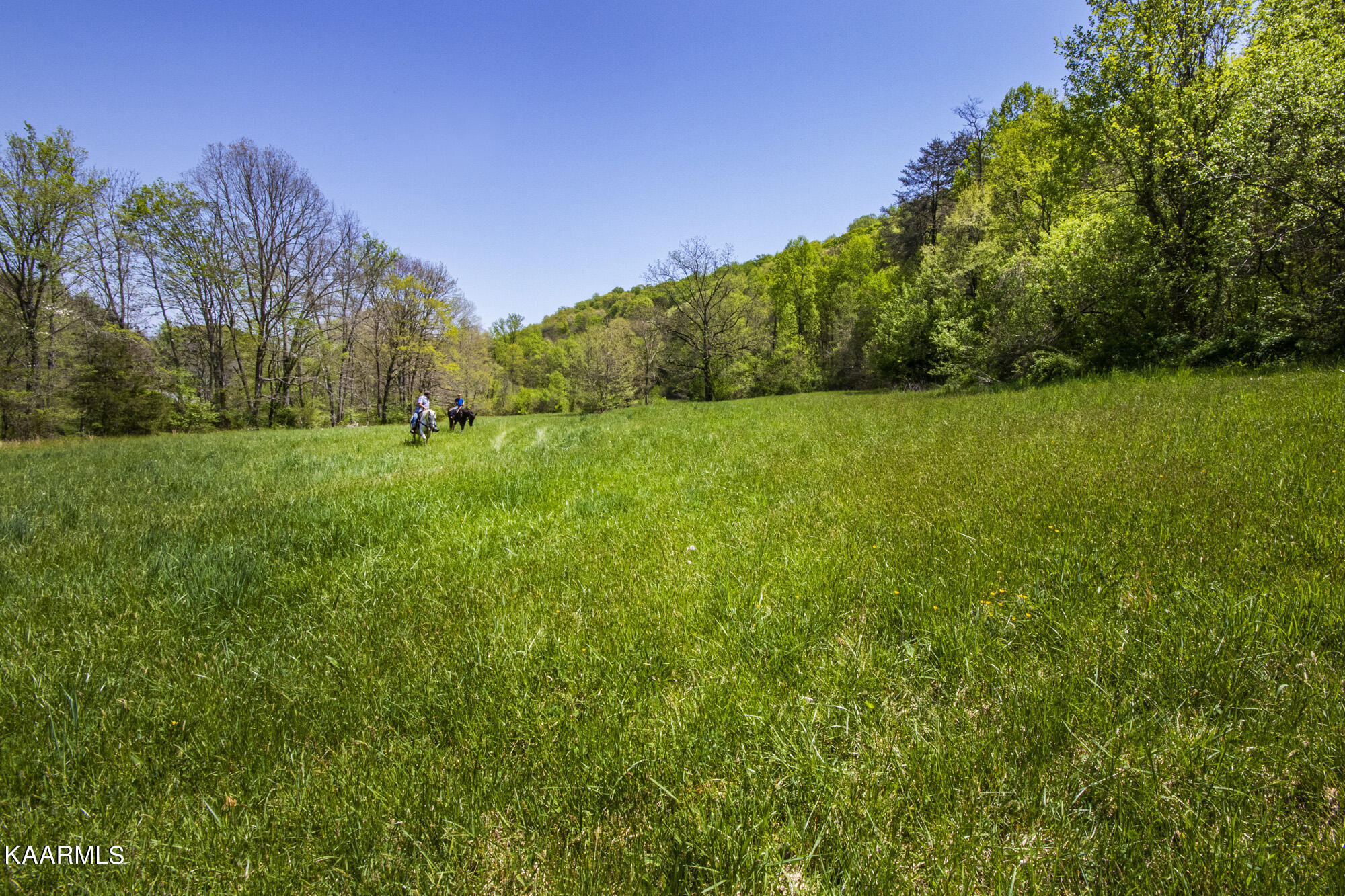 Kettle Hollow Road Maynardville, TN 37807 - Photo 26 of 51 V19A9275
