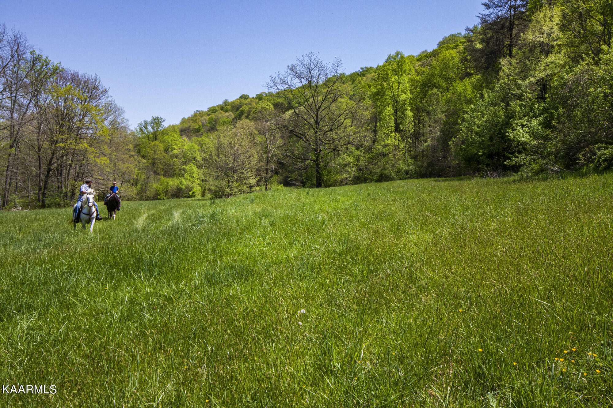 Kettle Hollow Road Maynardville, TN 37807 - Photo 27 of 51 V19A9276