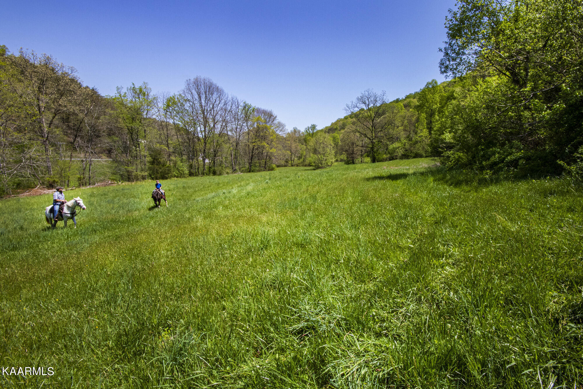 Kettle Hollow Road Maynardville, TN 37807 - Photo 28 of 51 V19A9277