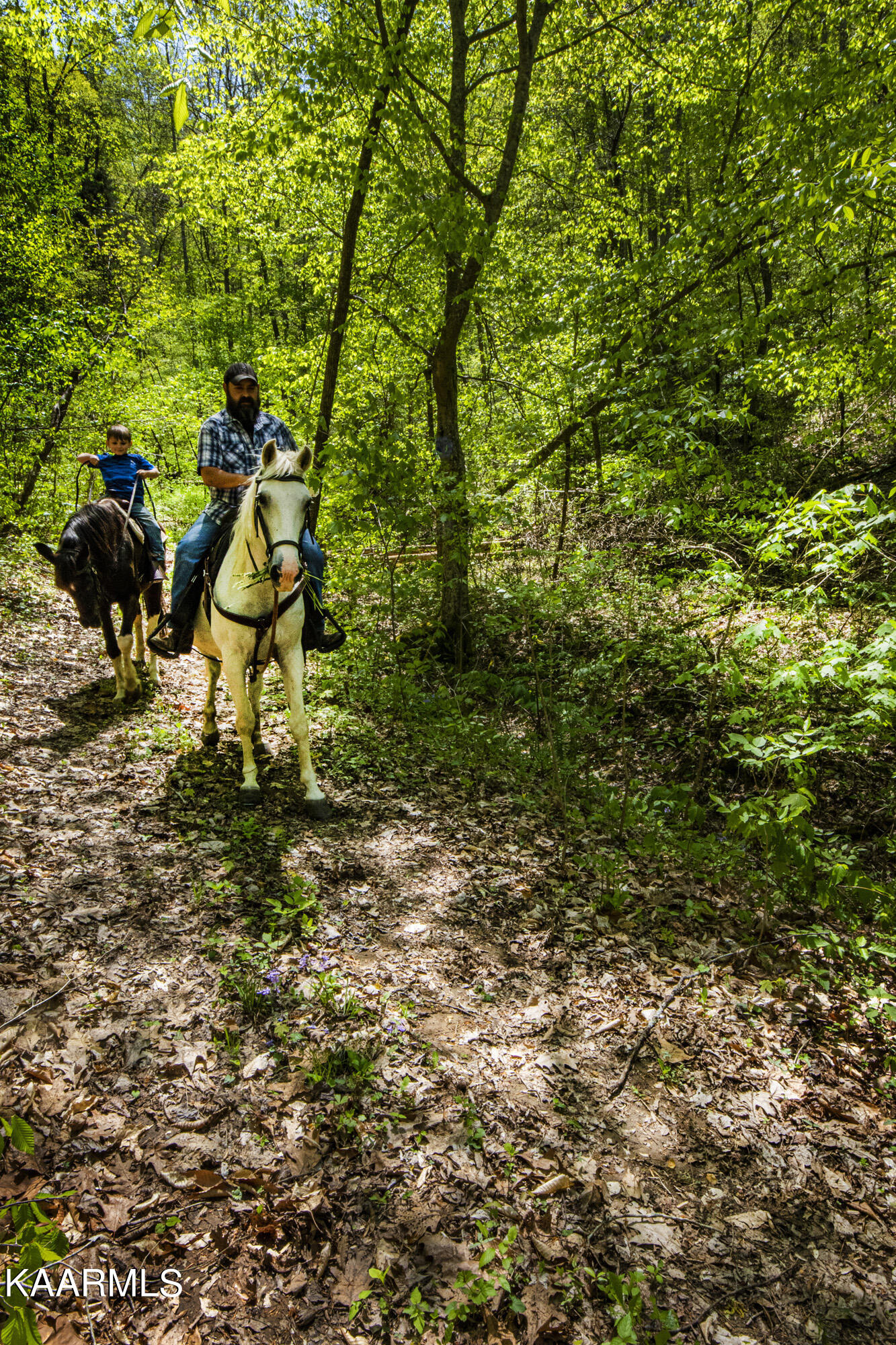 Kettle Hollow Road Maynardville, TN 37807 - Photo 37 of 51 V19A9289