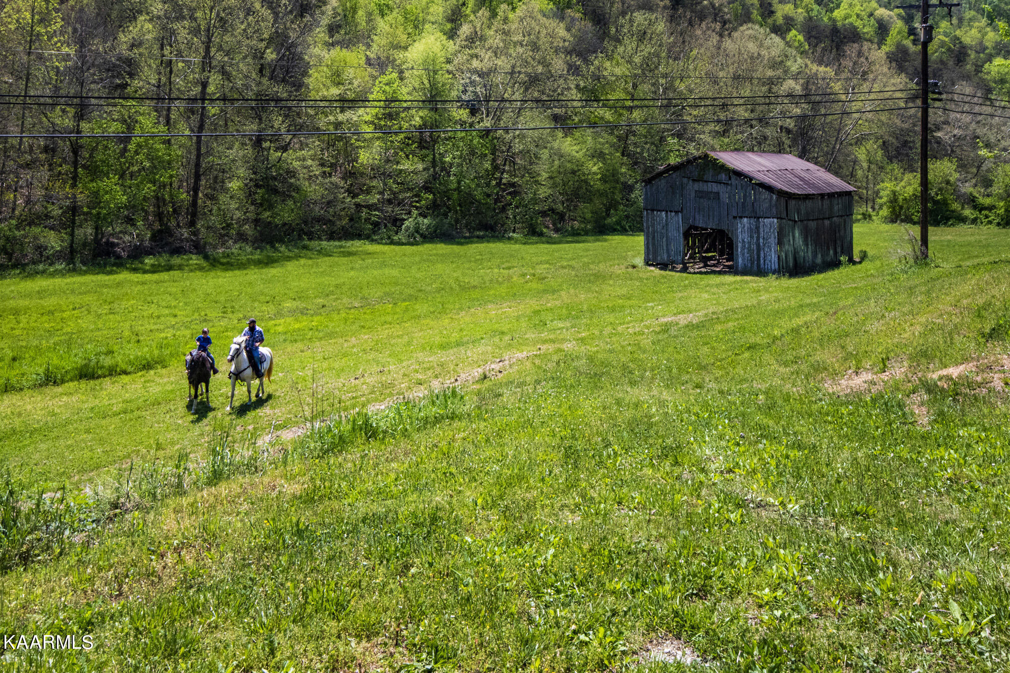 Kettle Hollow Road Maynardville, TN 37807 - Photo 4 of 51 V19A9240